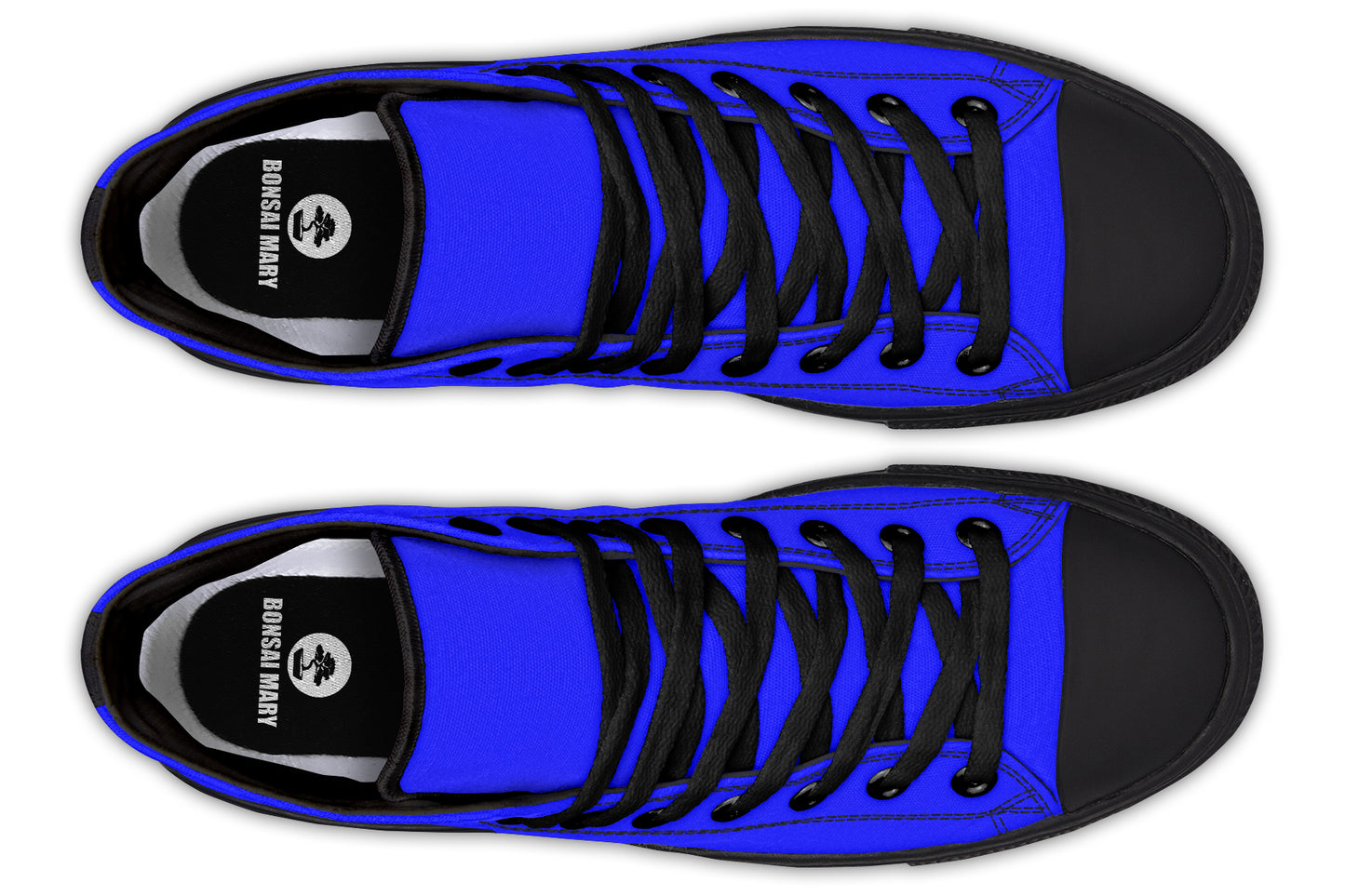 Blue Jhay Test upload