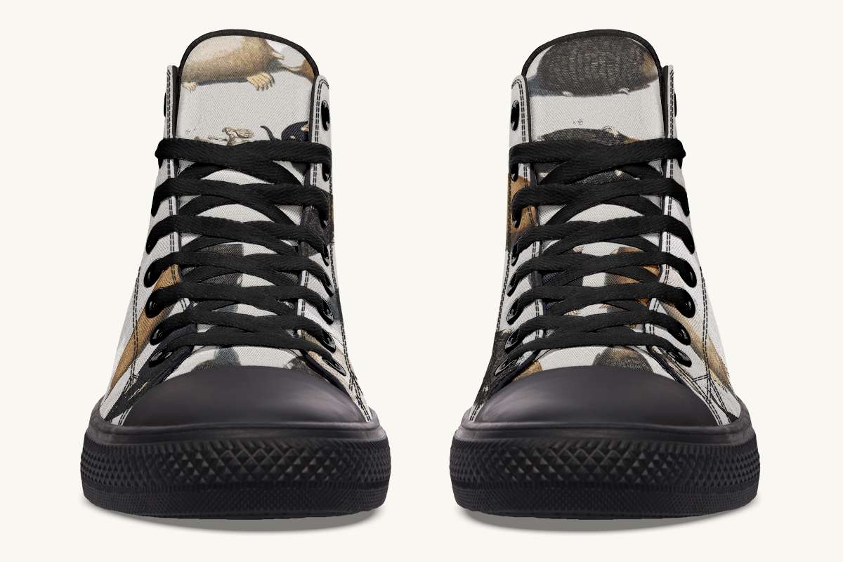 Hightopstest-CheckforMolesHightops-KCD-01134-Hightops-Blk-STR6-KCD.jpg