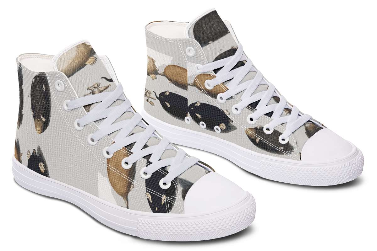 Hightopstest-CheckforMolesHightops-KCD-01134-Hightops-WT-STR5-KCD.jpg