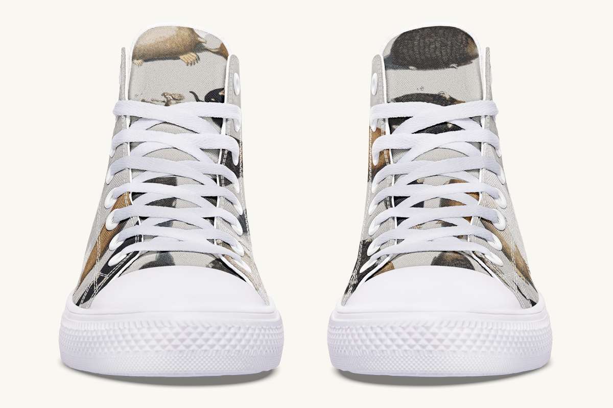 Hightopstest-CheckforMolesHightops-KCD-01134-Hightops-WT-STR6-KCD.jpg