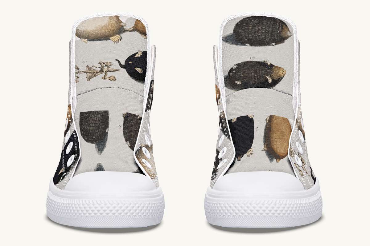 Hightopstest-CheckforMolesHightops-KCD-01134-Hightops-WT-STR7-KCD.jpg