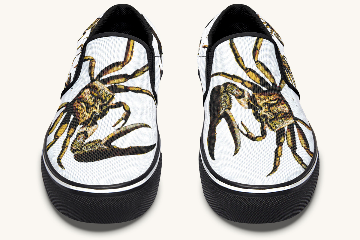 Crawl The Sea Of Stars White with Gold Slip On Shoes