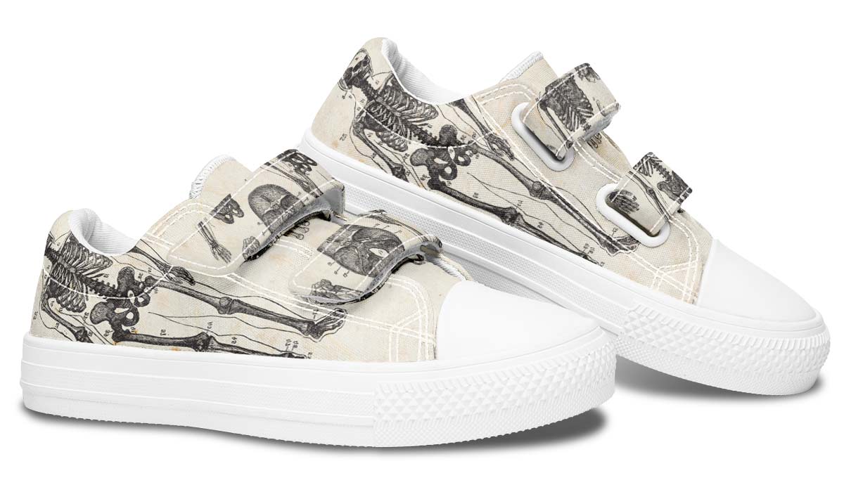Vintage Anatomy Kids Lowtops