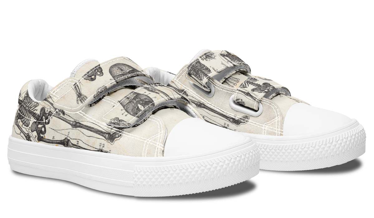 Vintage Anatomy Kids Lowtops