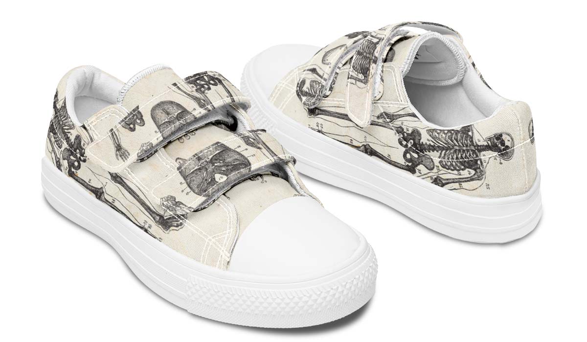 Vintage Anatomy Kids Lowtops