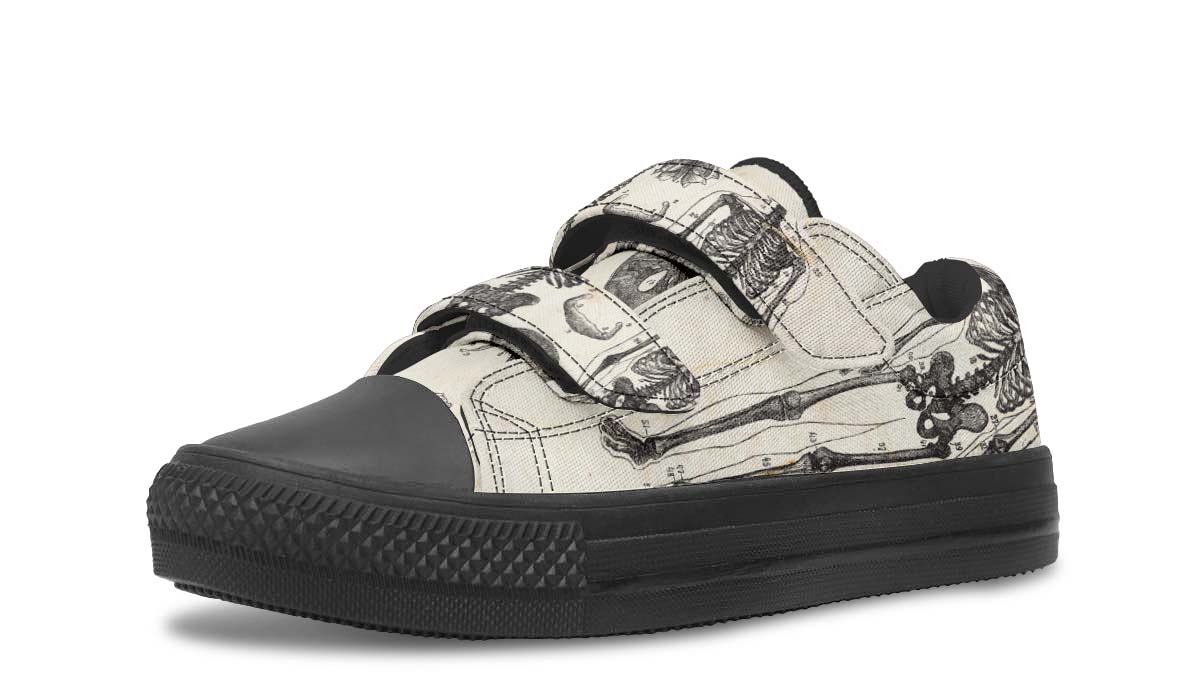 Vintage Anatomy Kids Lowtops
