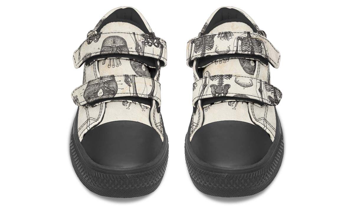 Vintage Anatomy Kids Lowtops