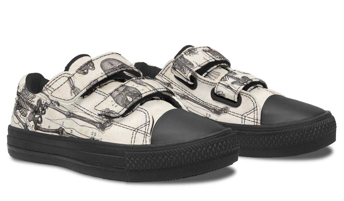 Vintage Anatomy Kids Lowtops