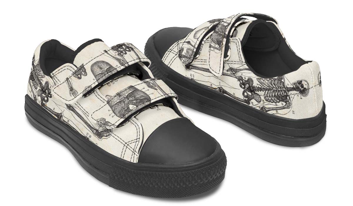 Vintage Anatomy Kids Lowtops