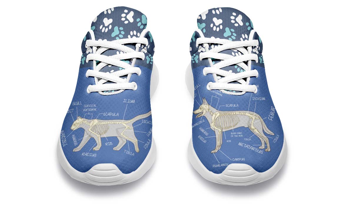 Veterinary Skeletal Diagram Sneakers