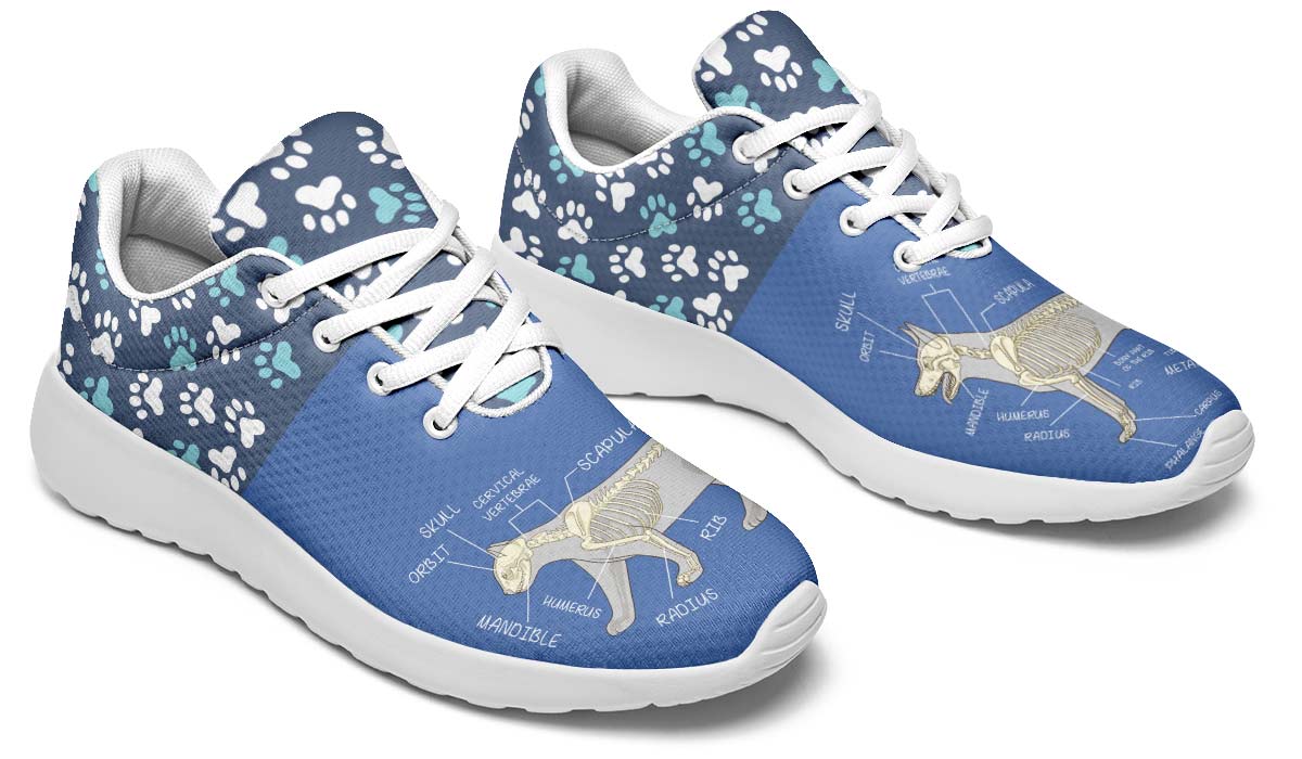 Veterinary Skeletal Diagram Sneakers