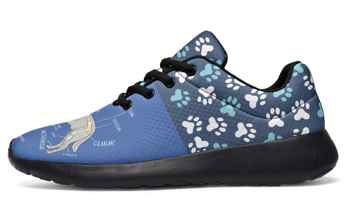 Veterinary Skeletal Diagram Sneakers