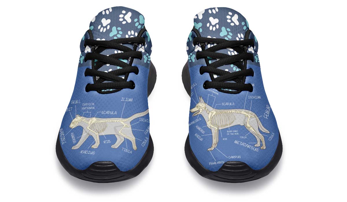 Veterinary Skeletal Diagram Sneakers