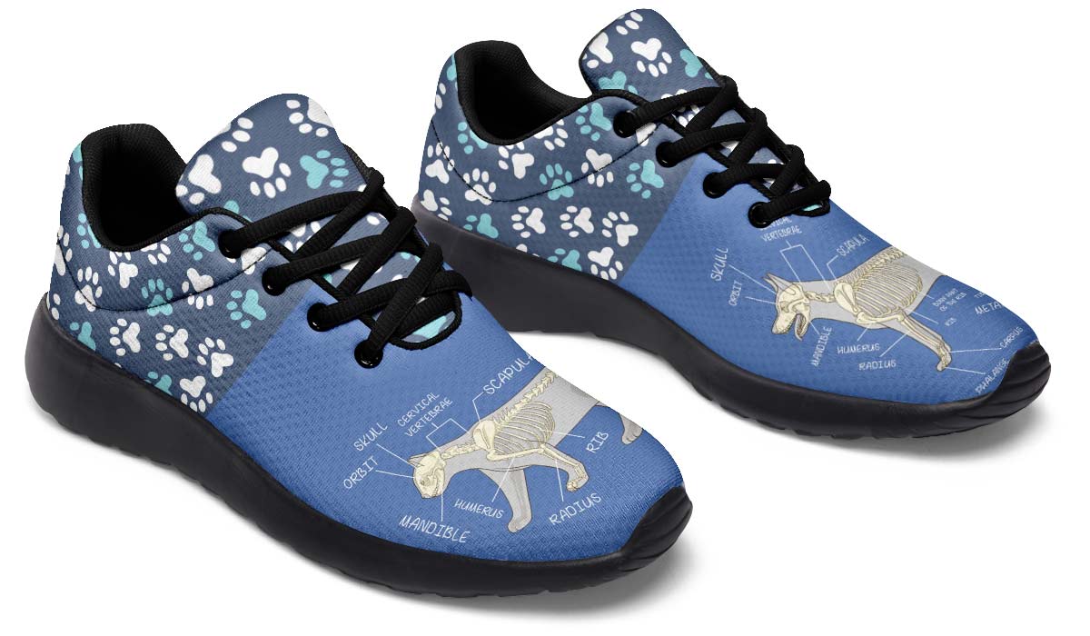 Veterinary Skeletal Diagram Sneakers